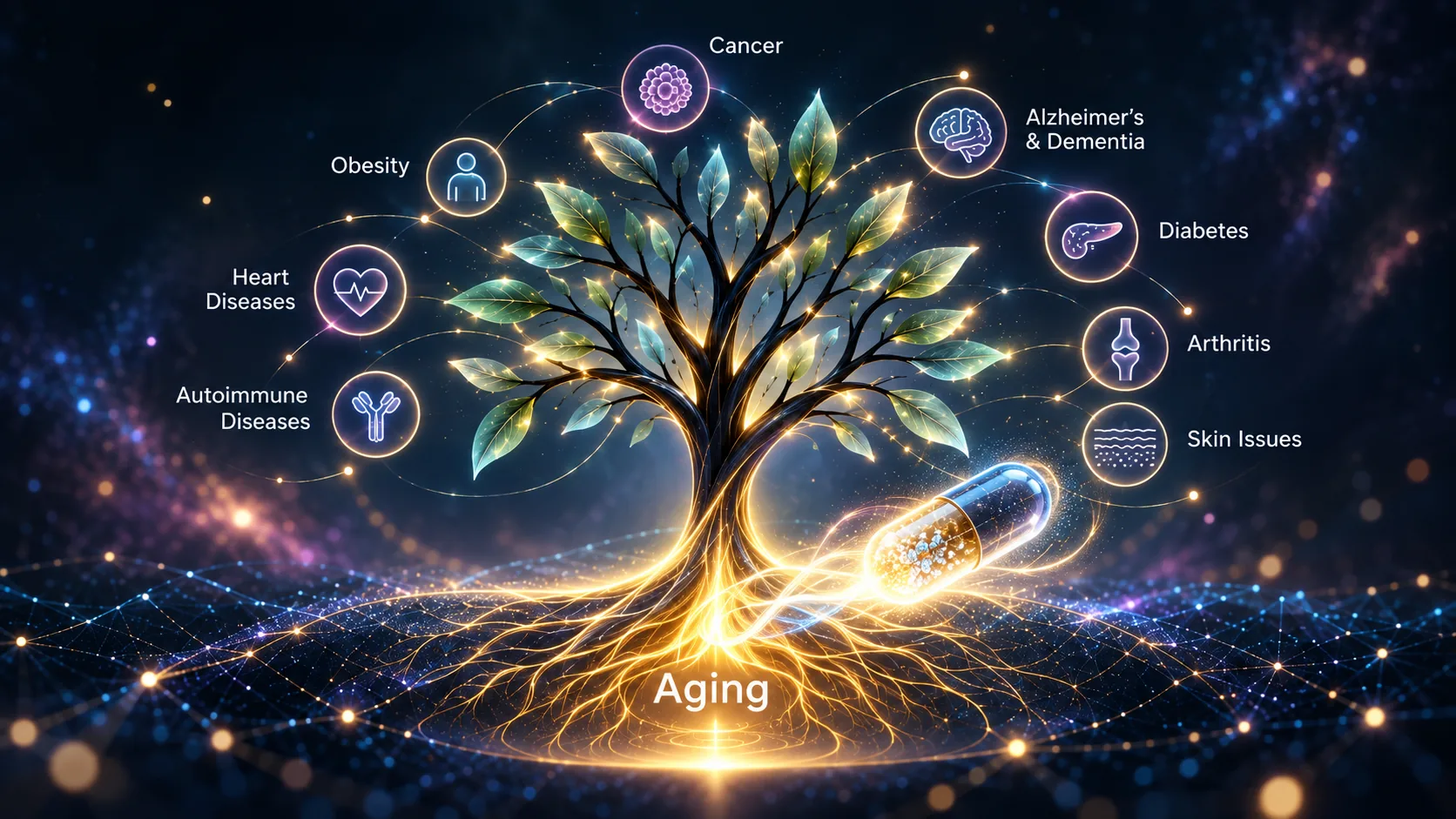 Illustration of a tree rooted in aging, with branches leading to age-related diseases including cancer, dementia, diabetes, heart disease, and arthritis.